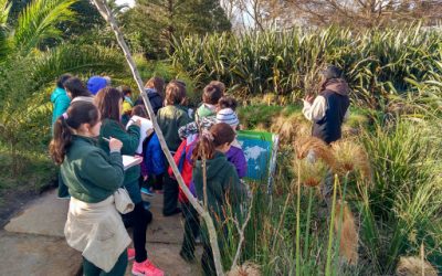 Descubrir más allá del aula