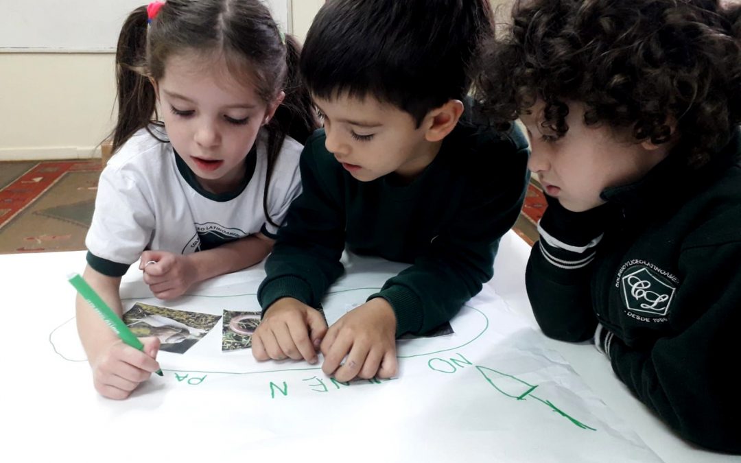 Un recorrido desde los conocimientos iniciales de los niños al saber científico