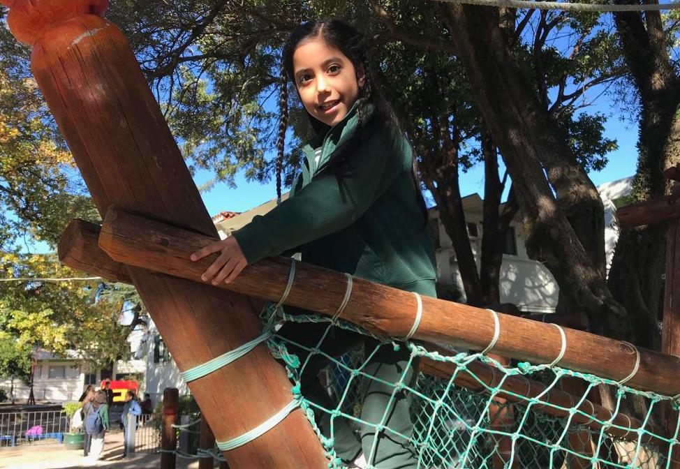 Tesla, curadora del MAPI