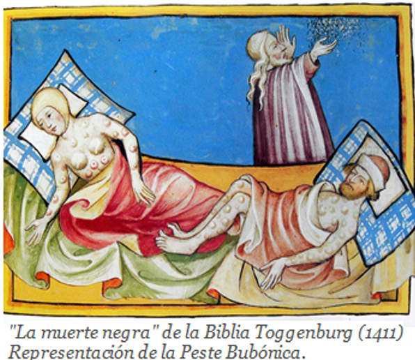 COVID-19 en un mundo sórdido