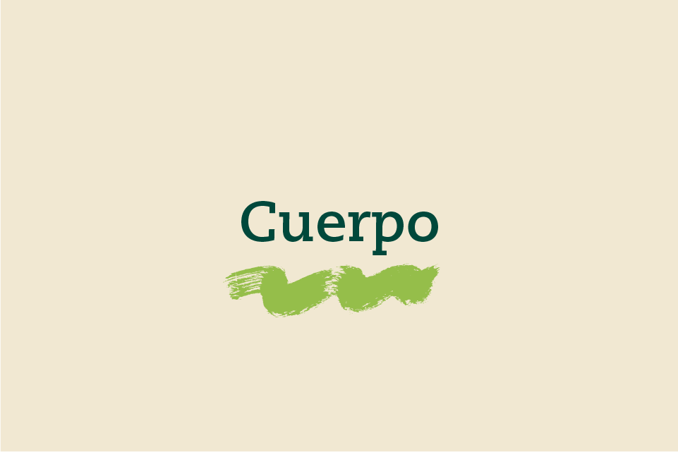 Cuerpo